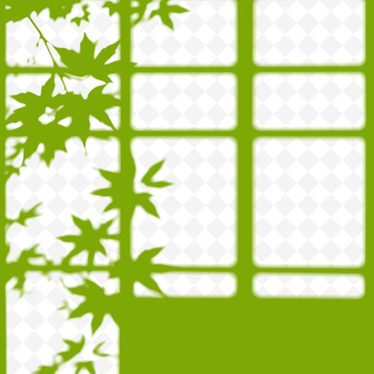 PSD maple leaf shadows forming delicate star like shapes fine detai png shadow cast illustrationsl