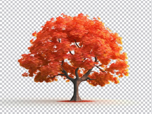 PSD maple tree isolated