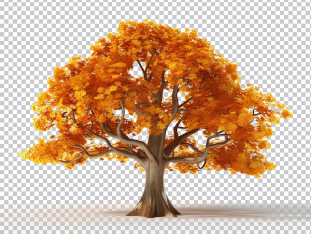 PSD maple tree isolated