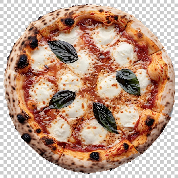 PSD margherita pizza png z przezroczystym tłem