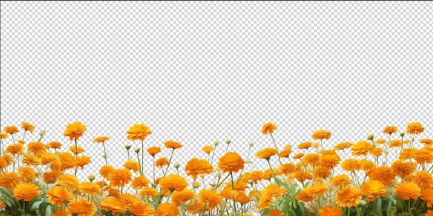 PSD marigold field artificial intelligence generative