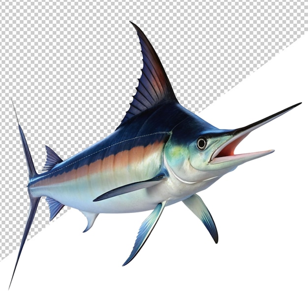 PSD Морская рыба на прозрачном фоне