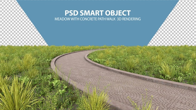 PSD meadow with concrete path walk 3d rendering of isolated objects