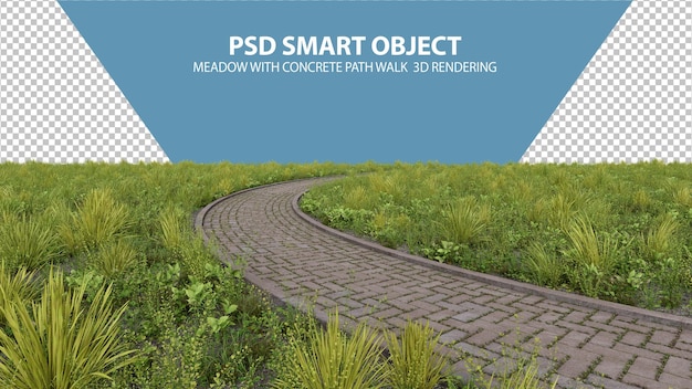 meadow with concrete path walk 3d rendering of isolated objects
