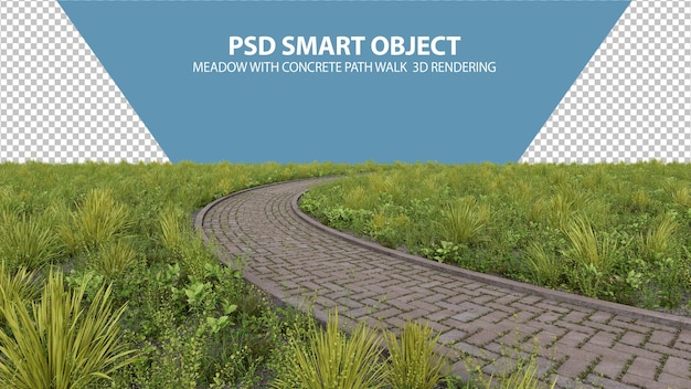 PSD meadow with concrete path walk 3d rendering of isolated objects