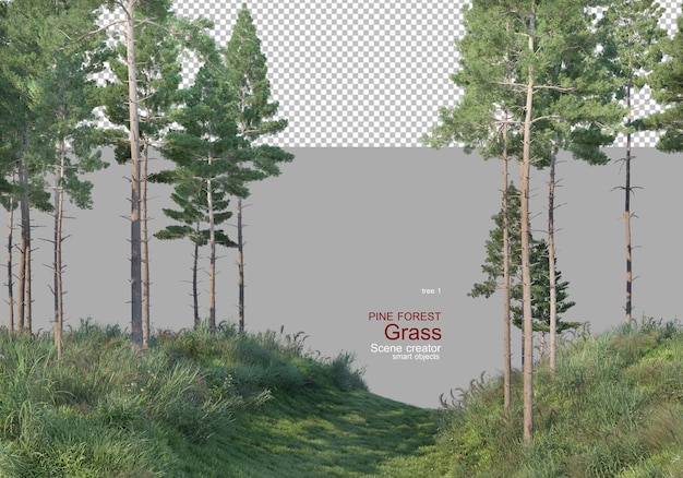 PSD meadows in pine forests