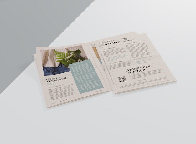 PSD media newspaper mock-up