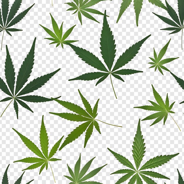 PSD medical marijuana tree and leaves isolated on transparent background