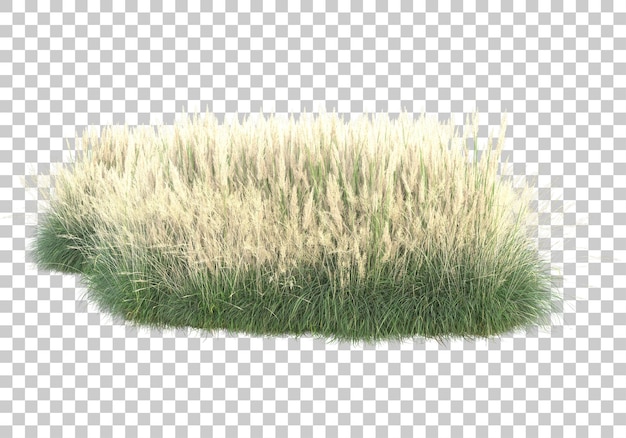 투명 배경 3d 렌더링 그림에 약용 식물