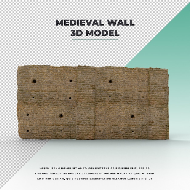 Medieval wall