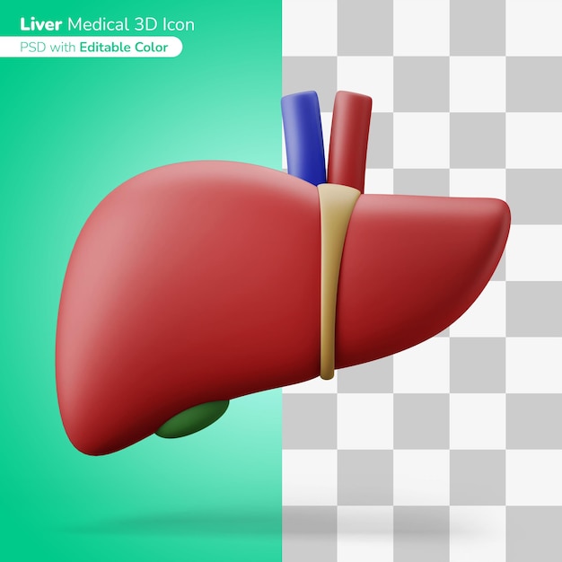 Medyczna Ludzka Wątroba Wątroba Narząd Ilustracja 3d Ikona 3d Edytowalny Kolor Na Białym Tle