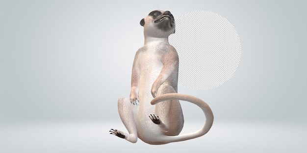 PSD meerkat isolated on a transparent background