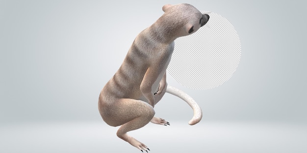 PSD meerkat isolated on a transparent background