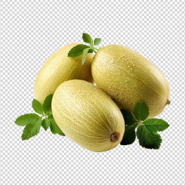 PSD melon galia isolated on transparent white background