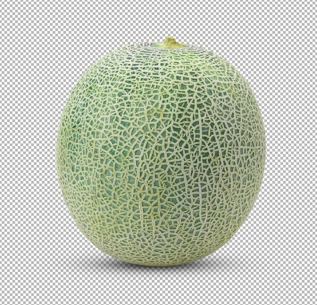 Melon Kantalupa Wyizolowanyxa