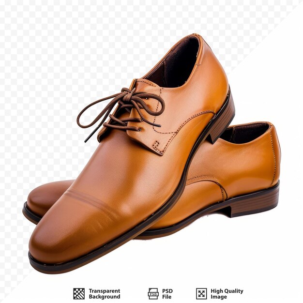 PSD men shoes isolated laced brown leather