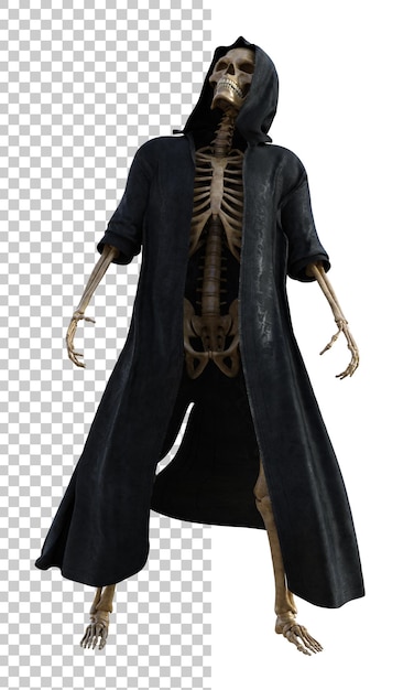 Menselijk skelet op transparante achtergrond 3d-rendering