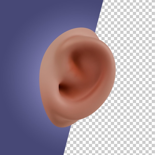 Menselijke organen en anatomie 3D-iconen Render Clipart