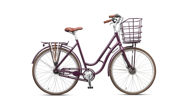 meron body simple ladies bike