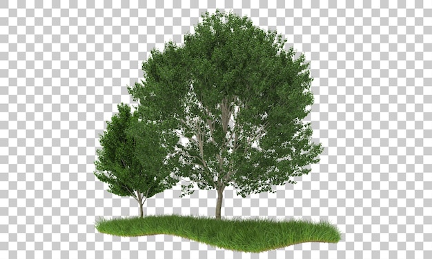 Metsä läpinäkyvällä taustalla 3d-renderöitynä kuvituksena