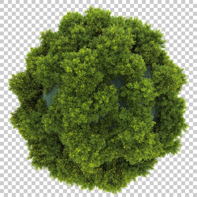 Micro planeet met tropisch bos op transparante achtergrond 3d-rendering illustratie