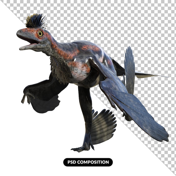 PSD microraptor 恐龍 孤立的 3d 渲染