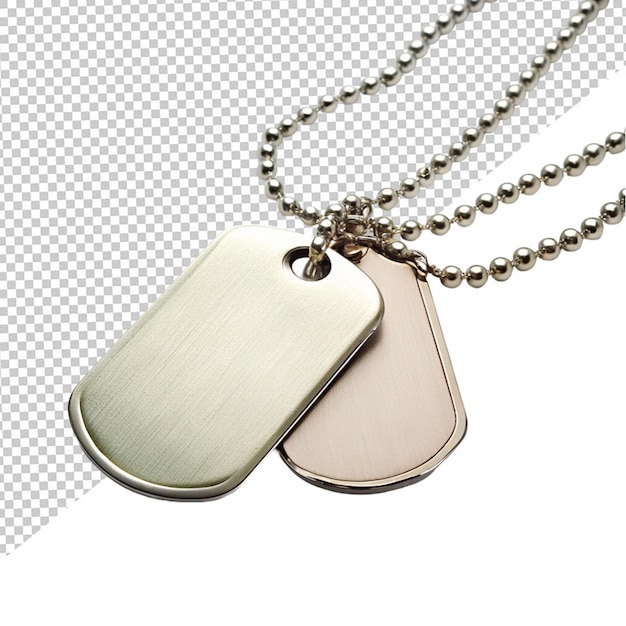 Military dog tags on transparent background