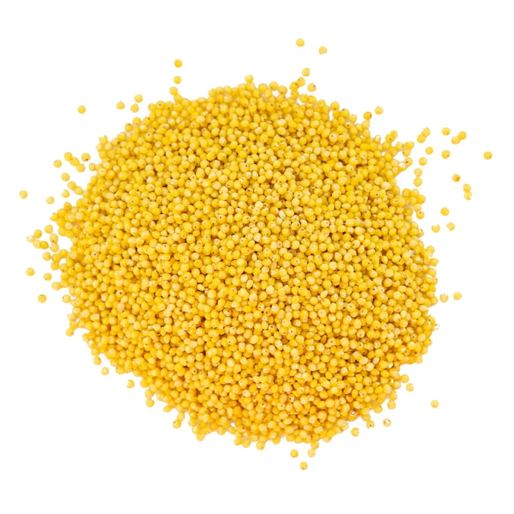 PSD millet grains poured into a slide on a transparent background
