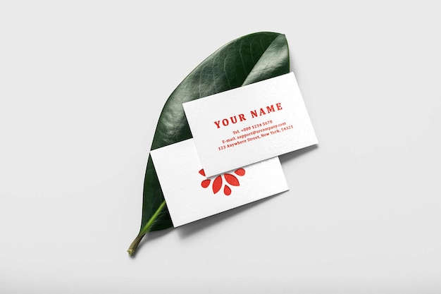 Minimal business card mockup on green leaf