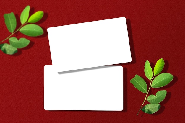Minimal business card mockup with leaves
