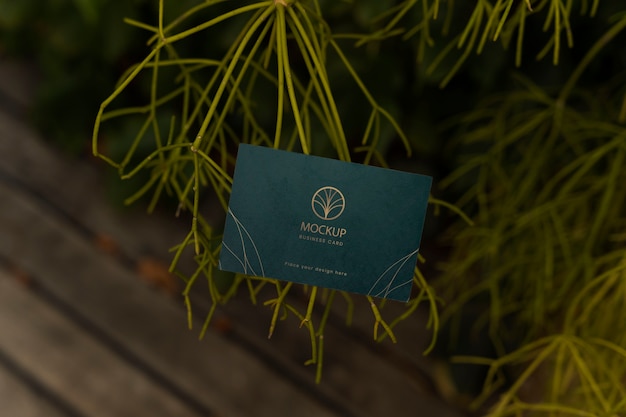 PSD minimal business card with leafy background