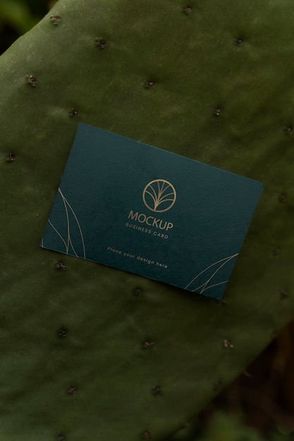Minimal business card with leafy background