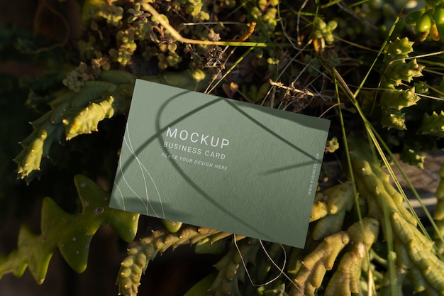 PSD minimal business card with leafy background