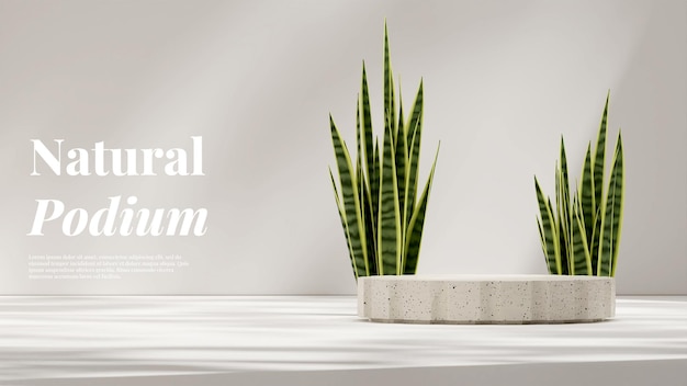 PSD minimal natural ceramic texture podium with snake plant 3d rendering mockup background landscape