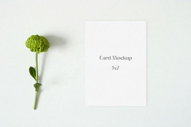 Minimal paper mockup with leaves