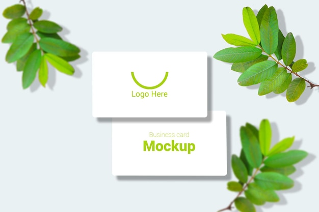 Minimal photo frame mockup with green leaves tree twig