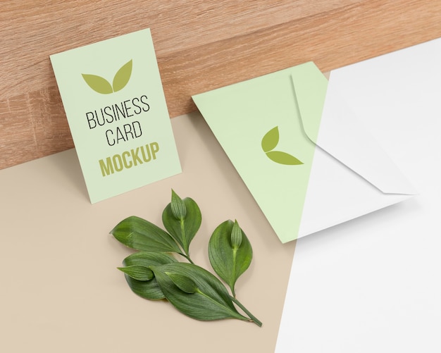 Minimal stationery arrangement with plant