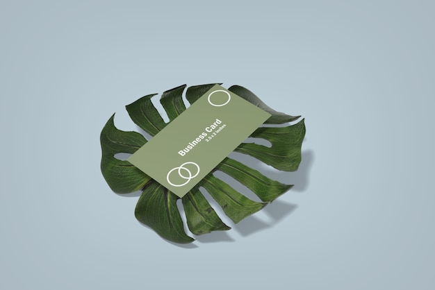 Minimalist business card mockup on monstera leaf