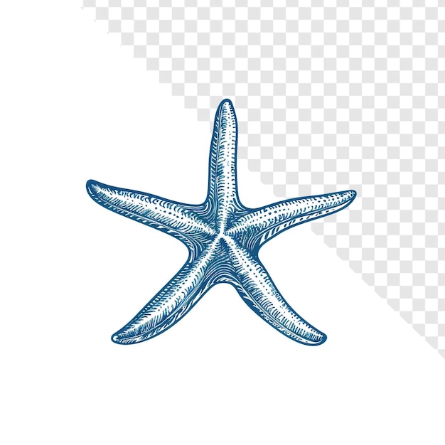 Minimalistyczne logo gwiazdy morskiej niebieskie i białe