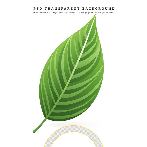 PSD foglie di menta al vento illustrazione di fogliame fresco primaverile