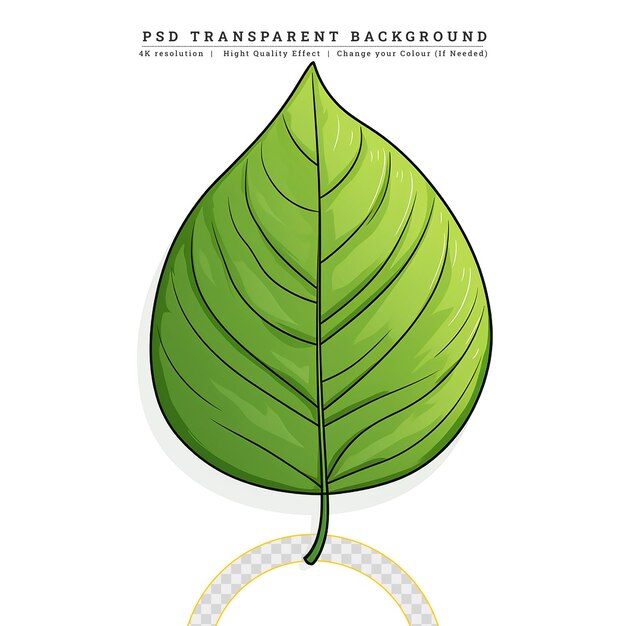 PSD foglie di menta al vento illustrazione di fogliame fresco primaverile