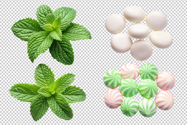 PSD minty moments cool breezes dance through daydreams