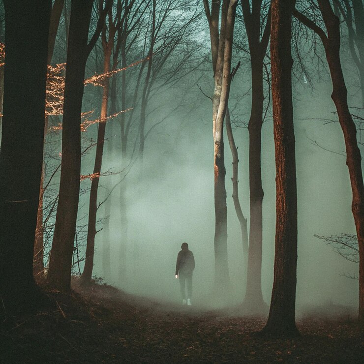 PSD misty landscape with fir forest in hipster vintage retro style