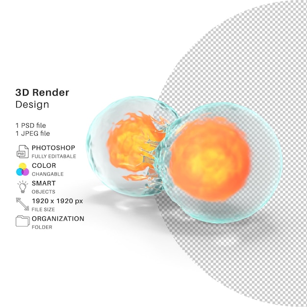 PSD 有糸分裂構造 3d モデリング psd ファイル リアルな有糸分裂