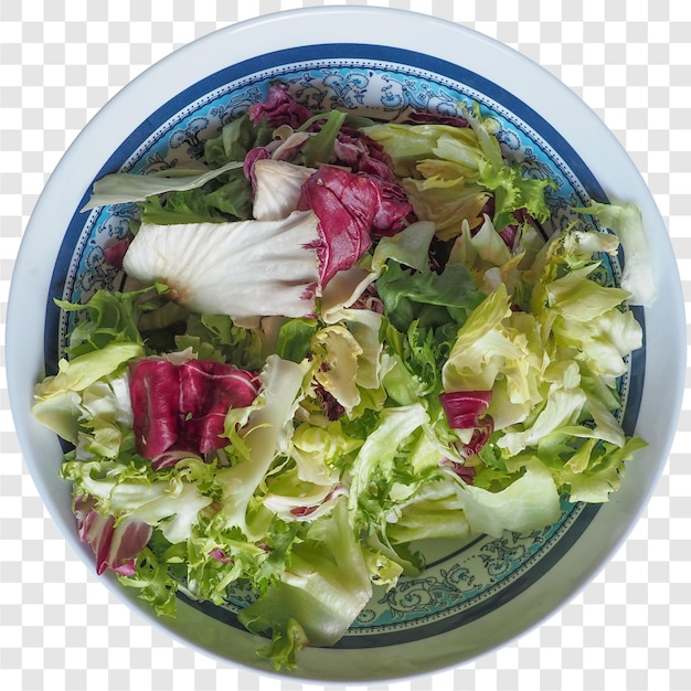混合葉サラダ 透明