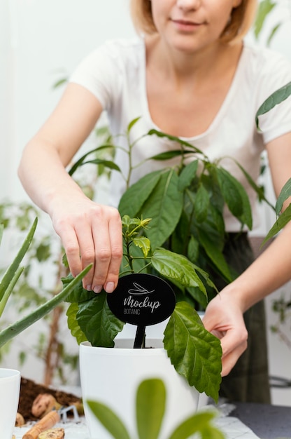 PSD mock-up voor het planten van binnenvegetatie