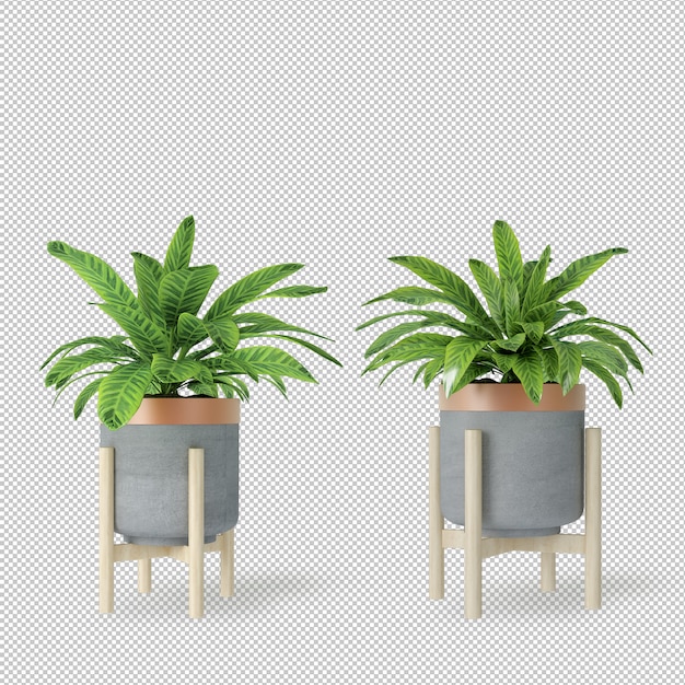 Mockup of 3d rendered plants in pots