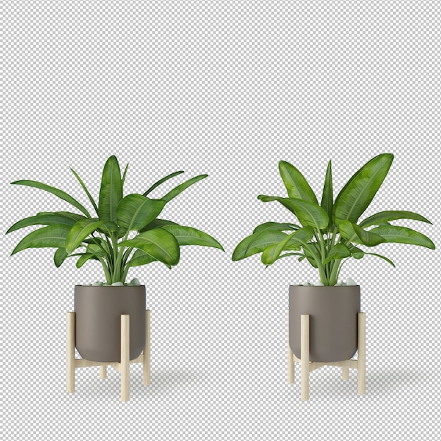 mockup of 3d rendered plants in pots