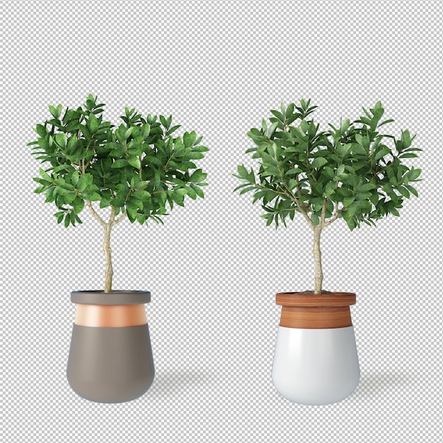 Mockup of 3d rendered plants in pots