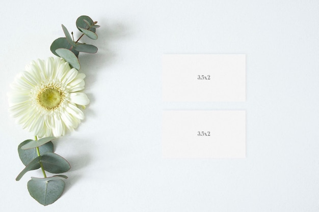 PSD Макет визитной карточки с листьями эвкалипта и герберы на белом фоне